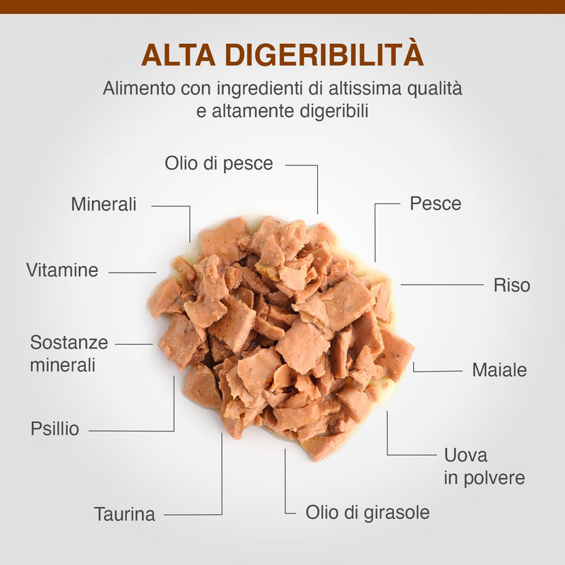 DECHRA Veterinary Products - SPECIFIC FIW Digestive Support - Wet Food for Cats - Improves Intestinal Flora - High Vitamin and Mineral Content - with Postbiotics - All Ages - 7 x 100 g