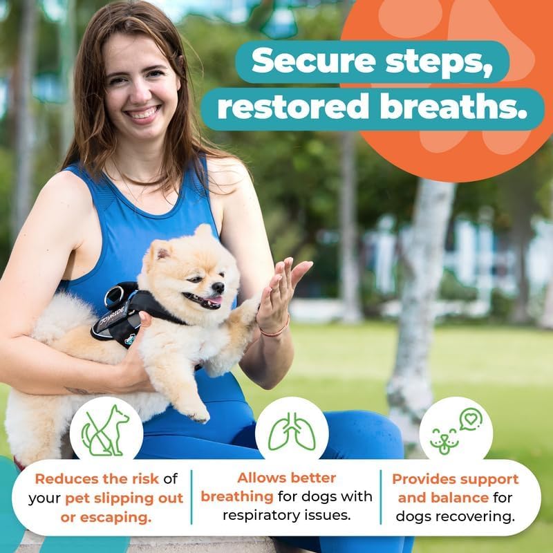Joyride Harness Summer Mesh Vest – 2.0 No Pull Dog Harness - Adjustable, Breathable Vest - Custom Name Tag Included - Perfect for Small, Medium & Large Dogs Black - BeesActive Australia