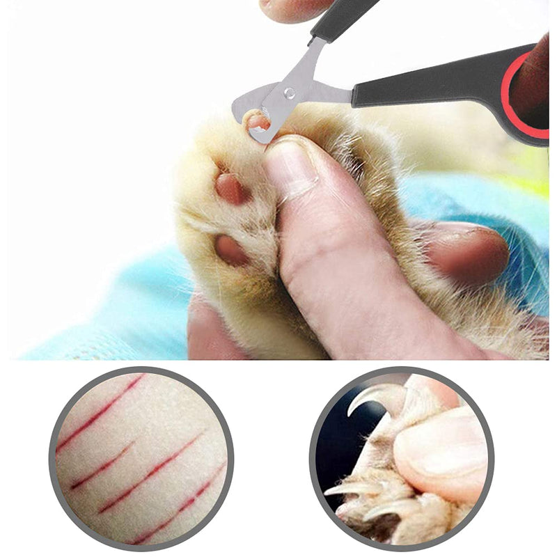 Parrot nail clippers, cat nail clippers, pet professional claw scissors, pet small animals, claw cutters, cat nail clippers, cat nail cutters, guinea pigs, birds, puppies, kittens, gerbils, rabbits - BeesActive Australia