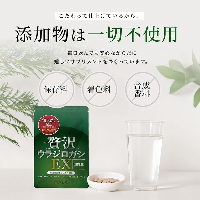 Luxury Ujilogashi EX 200mg Wakan no Mori, domestically produced, additive-free, 60 tablets, chlorella, ginseng, supervised by an international Chinese doctor - BeesActive Australia
