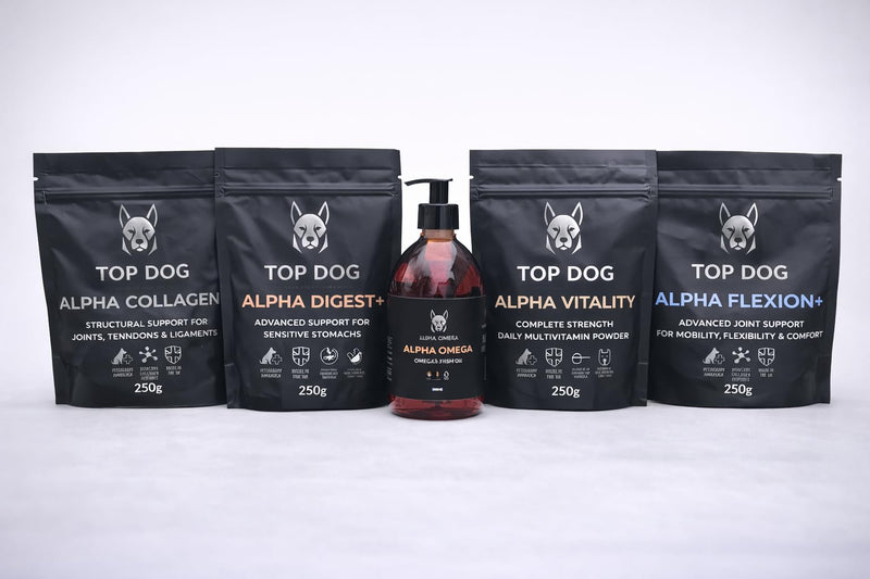 Alpha Omega Premium Salmon Oil for Dogs – Skin & Coat Support