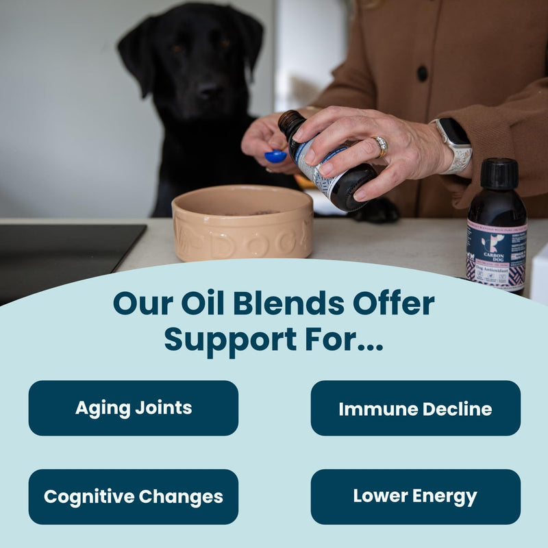 Senior Support Dog Supplement 150ml | Specially Formulated Supplements for Senior Dogs | Maintains Comfort & Vitality | 100% Natural | With Salmon Oil and Flaxseed Oil