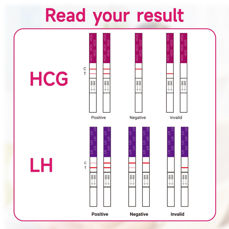 Ovulation Test Strips and Pregnancy Test Strips Kit, Ovulation Strips Fertility Test for Women, 30 LH Test + 10 HCG Test, Ovulation Predictor Kit for Home 40 Count (Pack of 1) - BeesActive Australia