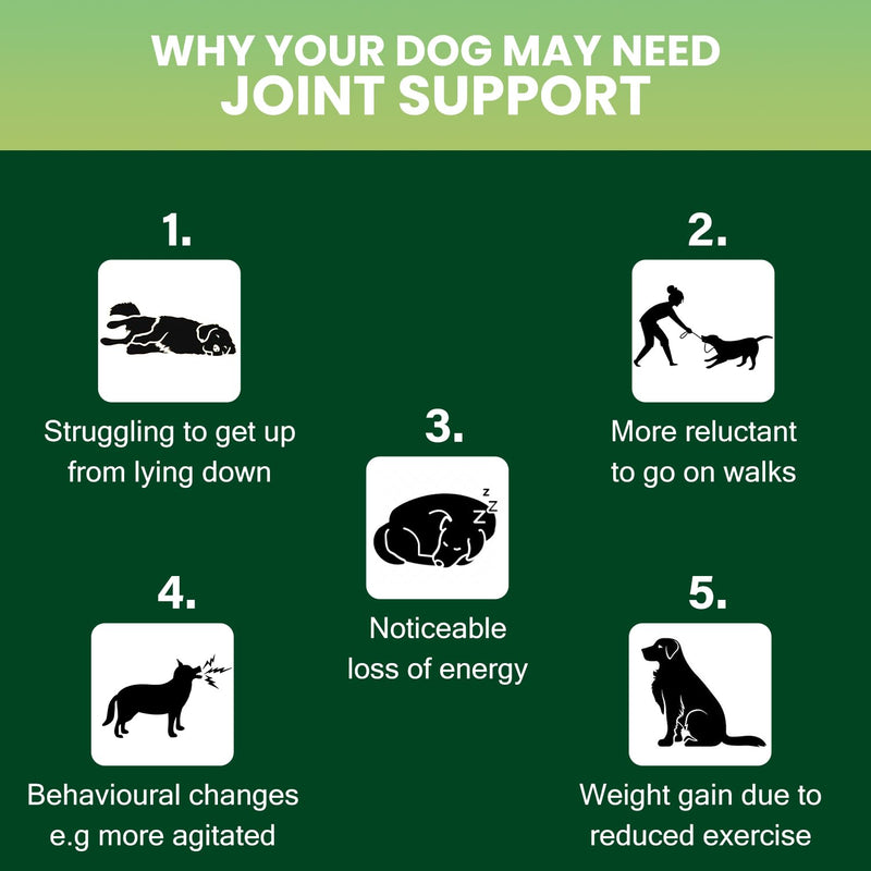 Joint Supplements for Dogs - 90 Tablets Green Lipped Mussel for Dogs, Senior Dog Joint Supplements, Advanced Strength Dog Arthritis Pain Relief with Turmeric, Glucosamine and Chondroitin - Made In UK