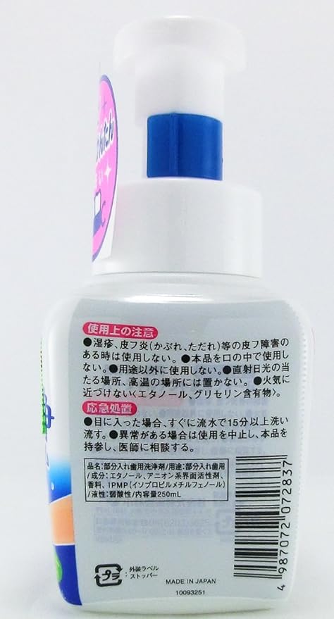Partial Dent Cleaning Foam for Partial Dentures Foam Denture Cleaner Mint Scent Disinfecting Deodorizing Pump Type 250m Kobayashi Pharmaceutical - BeesActive Australia