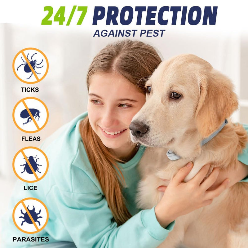 JOBUIZ Flea Collar for Dogs, Flea and Tick Collar for Dogs, 8-Month Long Lasting Protection for Large Dogs, Safe Natural Ingredients Flea Prevention for Dogs, Dog Flea & Tick Control (2 Collars) - BeesActive Australia