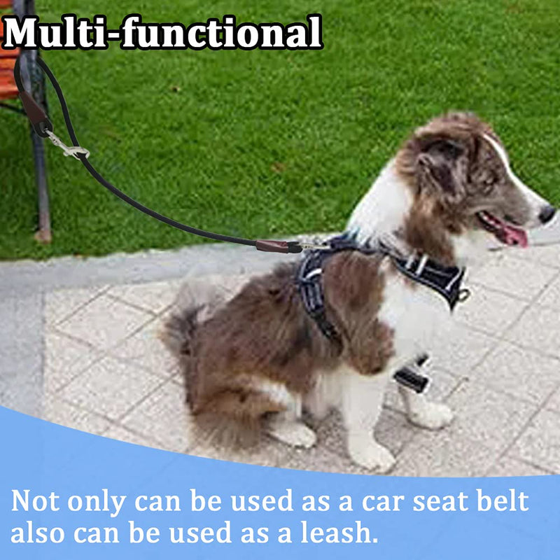 MayPaw Training Tie Down- Short Dog Tether Indoor- Strong Rope Dog Car Leash Seat Belt- 5 Sizes Vehicle Safety Restraint Lead for Small Medium Large Dogs, 24 Inch 24 Inch/61 CM black - BeesActive Australia