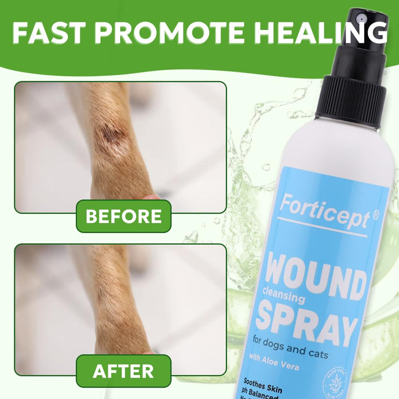 Forticept Hot Spot Treatment for Dogs kit