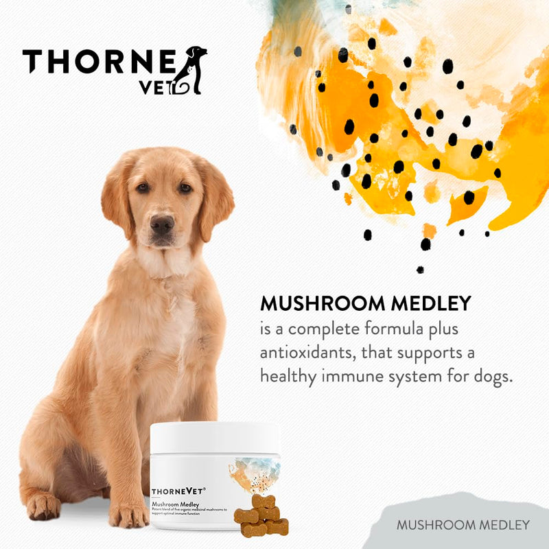 ThorneVet Mushroom Medley for Dogs - Immune System Support Plus Antioxidants - with Reishi, Turkey Tail, Cordyceps, Maitake, and Chaga Mushrooms - Support for Dogs Having Cancer Treatment - 120 Scoops - PawsPlanet Australia