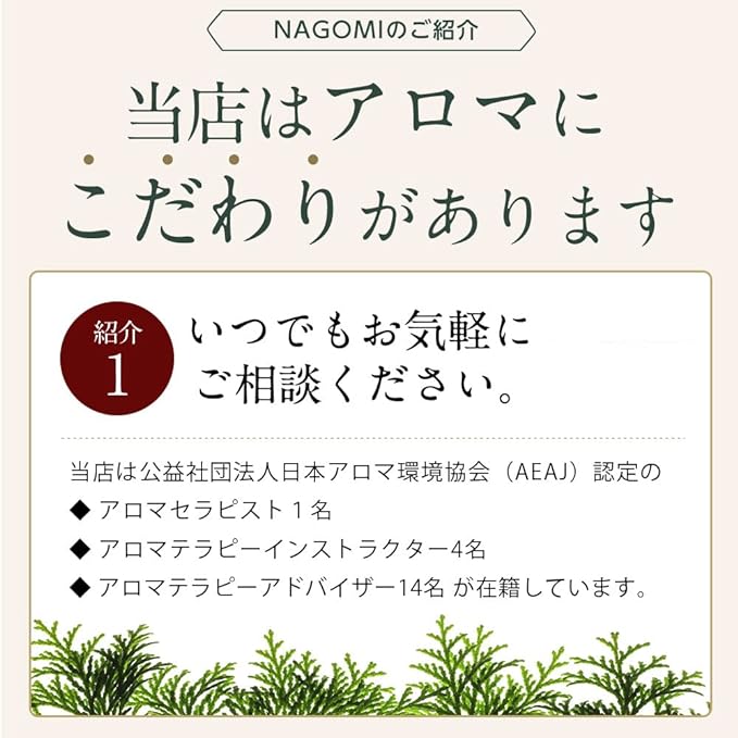 NAGOMI AROMA Essential Oils Trial Set [AEAJ Display Standard Certified Essential Oil] (Citrus), 0.2 fl oz (5 ml) x 6 - BeesActive Australia