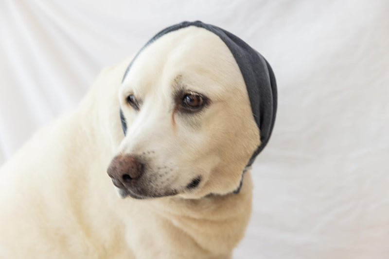 Calming Dog Ear Cover - Anti-Anxiety & Stress Relief Neck Gaiter for Surgery Recovery, Bathing, Grooming, Thunder & Fireworks Grey L Large