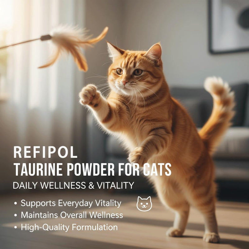 Taurine for Cats and Dogs,Cat Taurine Supplement for Heart & Eye Health - Premium Formula with Essential Vitamins for Adult Cats & Kittens