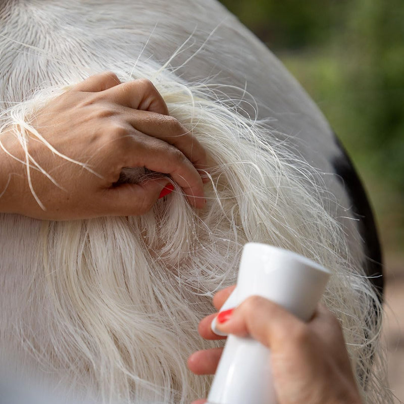 Lilla Livet by Bense&Eicke Aloe Itch Out Eczema Spray for Horses - Soothing & Nourishing - Cleans and Moisturises - with Aloe Vera, Livermoss & Tea Tree Oil, 500 ml Spray Bottle