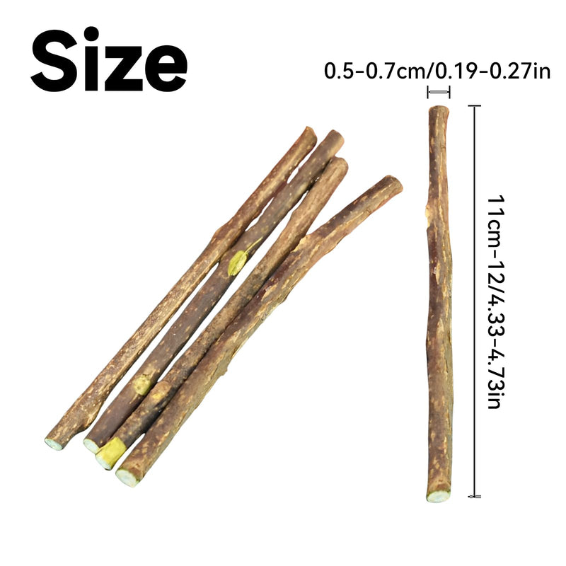 Simsky 5 pieces catnip sticks - cushion for cats with dental care - cat toy with natural catnip - BeesActive Australia