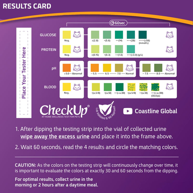 KIT4CAT CheckUp at Home Cat Wellness Test Kit | 2lb Hydrophobic Litter keeps urine on top, 2 Test Strips for The Detection of The 4 Most Common Health Indicators - pH, Protein, Glucose, Blood in urine 4 Parameters