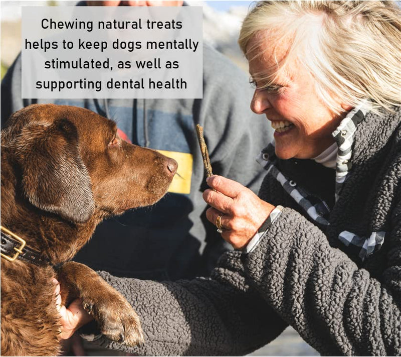 Maltbys' Stores 1kg Luxury Fish Calming Treats for Dogs with Hemp & Chamomile 100% Natural Fish Dog Treat Chews