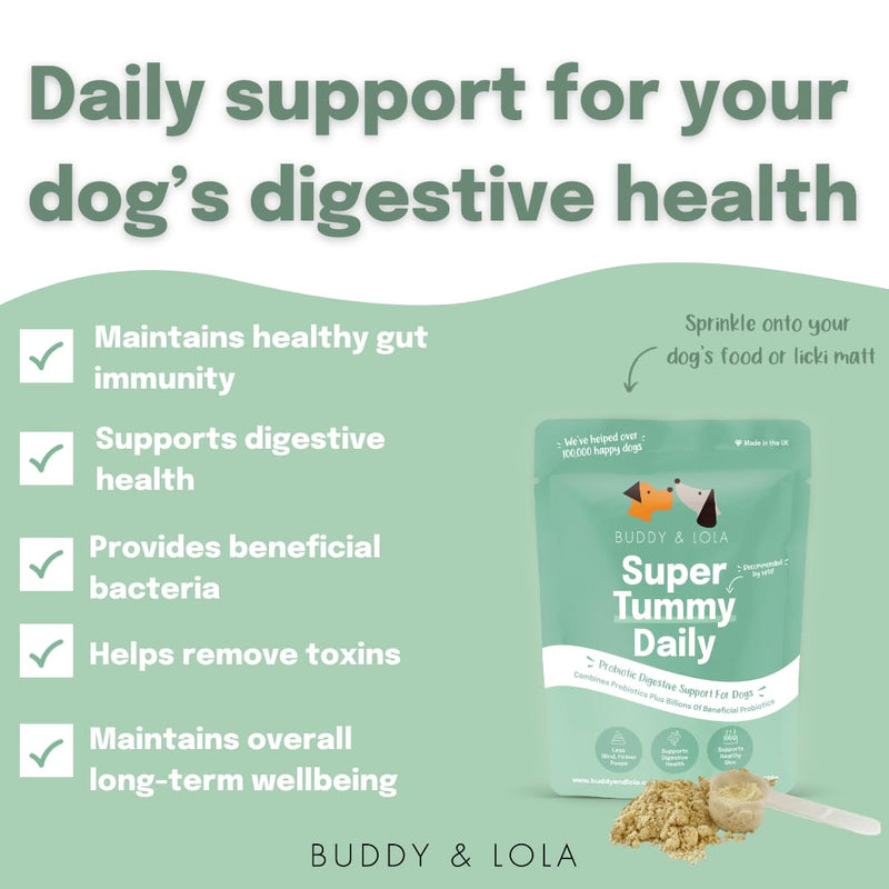 Buddy & Lola Joints and Tummy Bundle for Dogs - High CFU Count, Plant-Based Dog Probiotics for Gut Health - Dog Probiotic Powder with Prebiotics for Skin Health & Joint Support Supplement Value Joints and Tummy Bundle