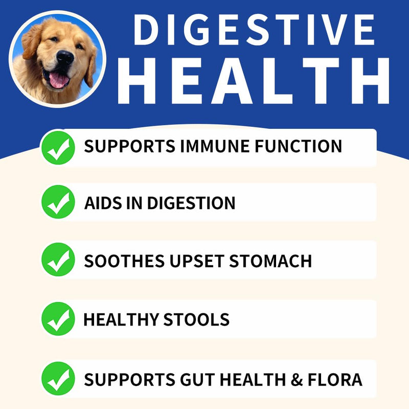 Probiotics for Dogs, Instant Diarrhea Relief, Dog Immune Support Chews, Digestive Health, Skin Irritation, Allergies, 6 Billion CFU's, 90 Pork Flavor Soft Chews for All Dog Sizes
