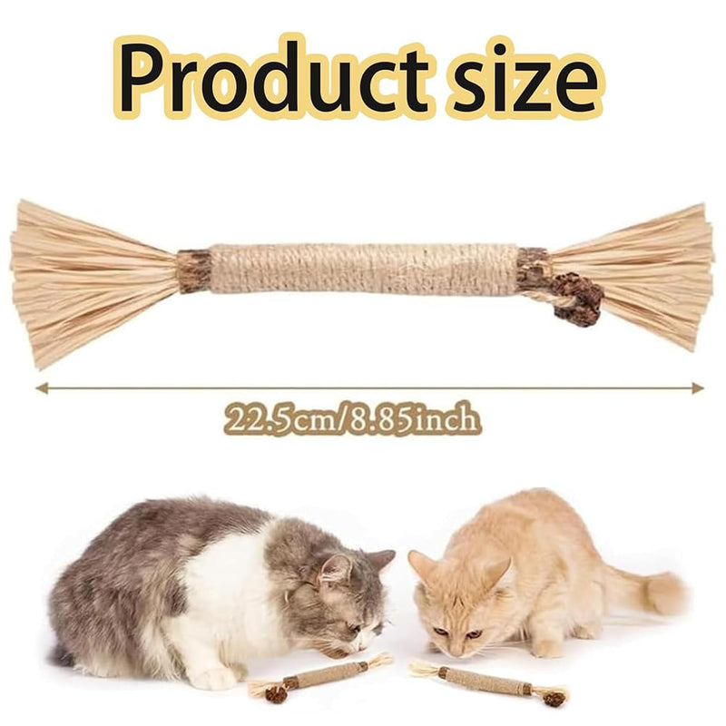 Natural Silvervine Dental Sticks, Natural Silvervine Sticks for Cats, Cleaning Dental, Scratch and Bite Resistant, Calm Cat Boring, for Indoor Kitty Interactive Kitten Chew Playthings (3Pcs) 3Pcs