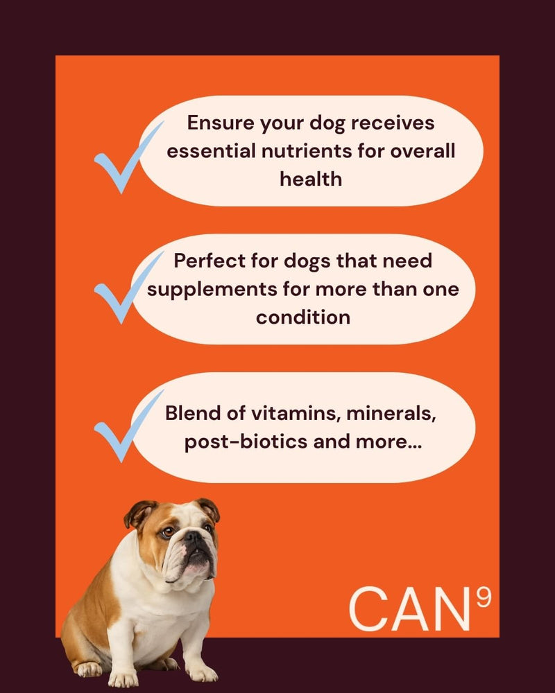 All-in-One Daily Supplement Powder for Dogs