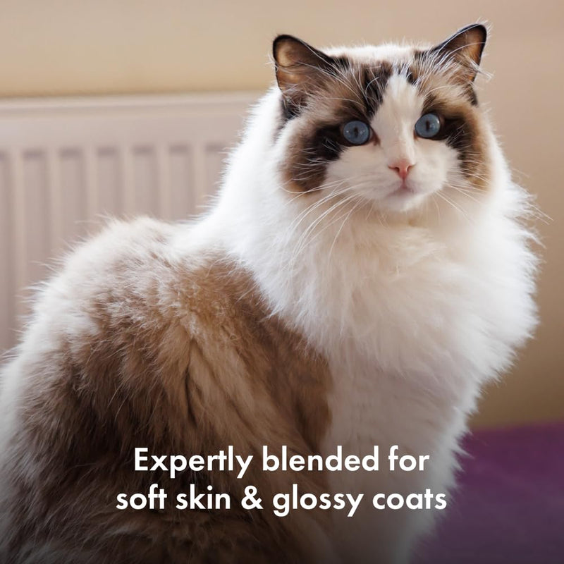 Itch - Skin & Coat Treats for Cats - With Omega 3, Biotin and Zinc for Glossy Fur - Ideal for Sensitive Skin - 4-Pack 280 g (Pack of 1)