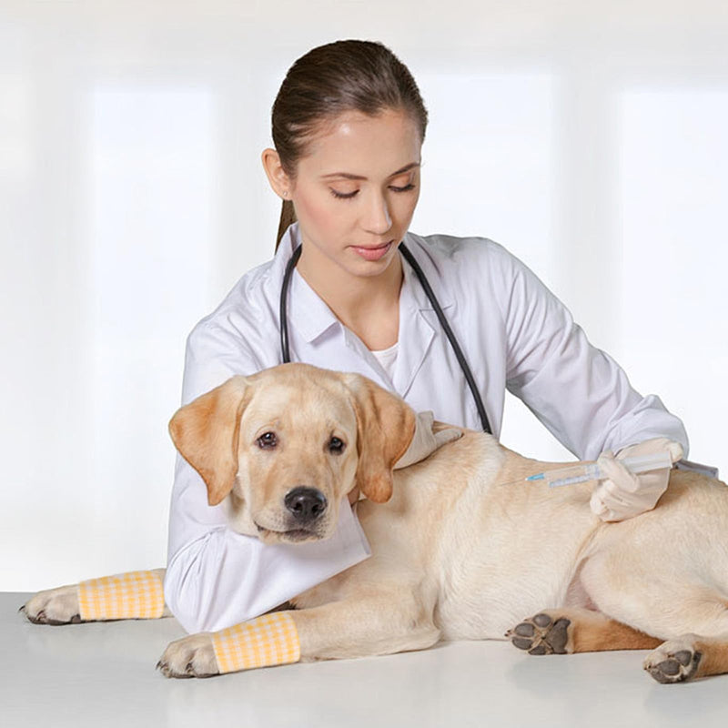 6-Pack Self-Adhesive Vet Wrap | Cohesive Bandage for Pets & Humans – Supports Sprains, Swelling (Finger, Wrist, Knee, Ankle) (5CM*400CM,Panda) 5CM*400CM,Panda