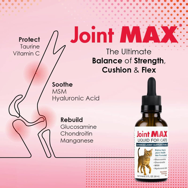Liquid for Cats – Joint & Mobility Support Supplement with Glucosamine, MSM, Chondroitin, Omega-3 – Helps Ease Stiffness & Discomfort – 2 fl oz – Made in USA – NASC Certified