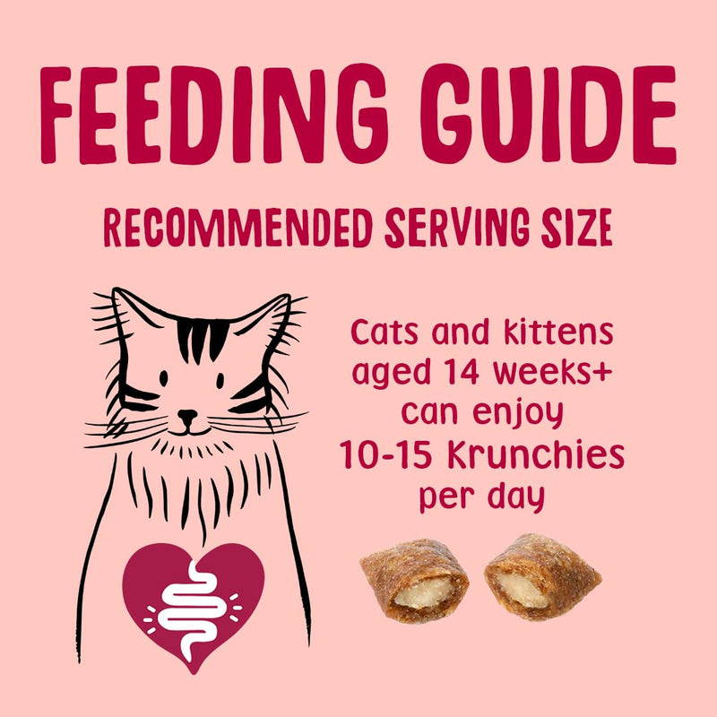 Scrumbles Anti-Hairball Krunchies Cat Treats 60g Hairball 60 g (Pack of 1)