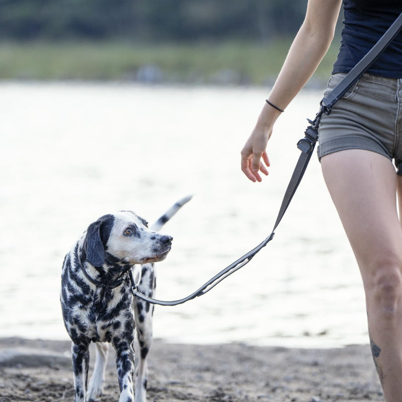 Hands Free Dog Leash - Waist or Shoulder Leash for Walking and Hiking with Medium and Large Dogs, Adjustable 4 to 6 FT Outdoor Bungee Lead with Traffic Handle by Nuvuq (18-120 lbs, Black) Black Pepper