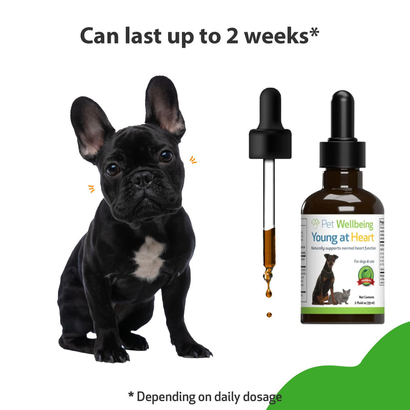 Pet Wellbeing Young at Heart for Dogs - Heart Health, Circulatory & Cardiovascular System, Hawthorn, Motherwort, Schisandra - Veterinarian-Formulated Herbal Supplement 2 fl oz (59 ml) 2 oz. - BeesActive Australia