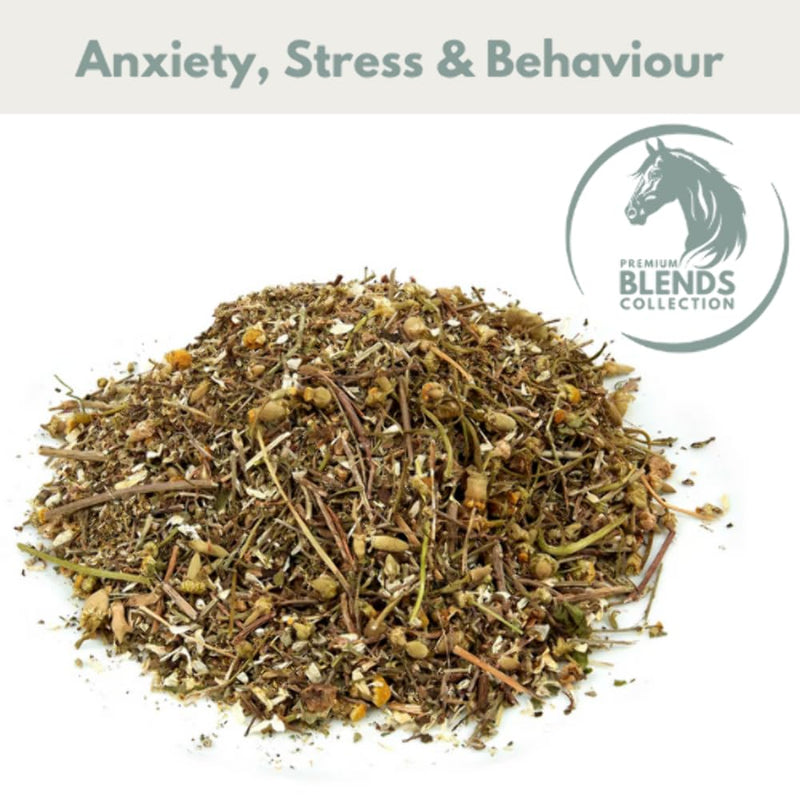 Calming Blend Herbal Supplement for Horses Stress & Behaviour Support g 750g HSD Horse Straights Direct
