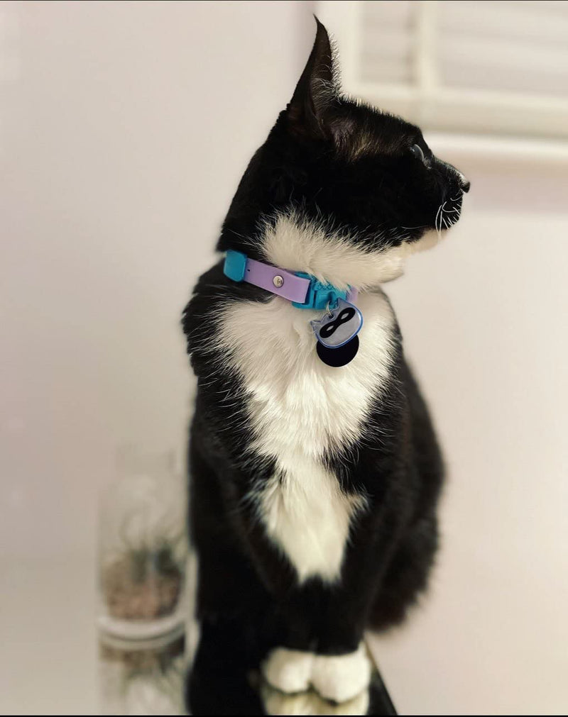 Reflective Cat Charm. Safety Cat Tag. Lightweight, High Visibility, Waterproof. Fits All Reflective Cat Collars. Other Styles Available Blue Ninja - BeesActive Australia