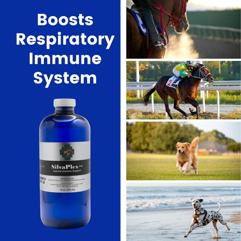 Natural Immune Support Solution for Dogs, Cats, Horses, Small Animals, 100 PPM Chelated Silver 16 oz - PawsPlanet Australia