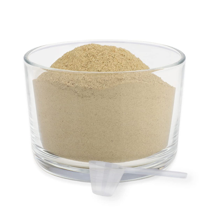 ReaVET Green Lipped Mussel Extract Powder 100g for Dogs & Cats | Green-lipped mussel powder dog, green-lipped mussel extract in high doses after treated arthrosis arthritis 100 g - BeesActive Australia