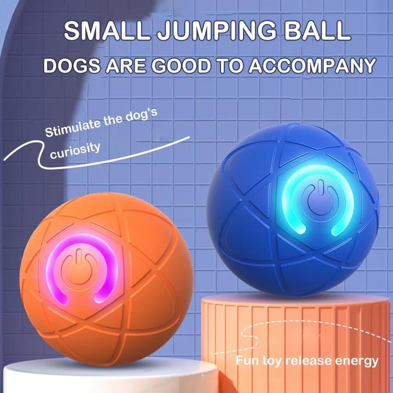 Shaky Ball Toy for Dogs, Shaky Ball Toy for Dogs, Automatic Dog Shaking Ball USB Rechargeable - BeesActive Australia