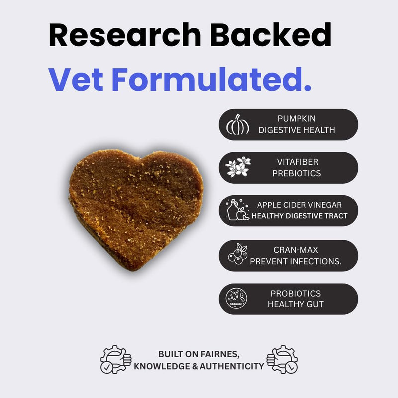 Doggy Dailies | Advanced Anal Gland Support Chews for Dogs | No Scoot Pet Supplements | Fibre Supplement With Pumpkin Powder for Dogs | Dog Digestion Tablets Formulated by Vets | 120 120 Count (Pack of 1)