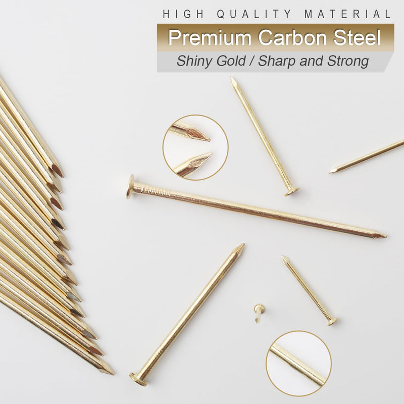 6 Sizes Gold Hardware Nails Assortment Kit, 358pcs, Brass Plated, Nails for Hanging Pictures, Finishing Nails, Wood Nails, Wall Nails for Hanging (3”, 2”, 1-1/2”, 1-1/4", 1”, 3/4") 358 - BeesActive Australia