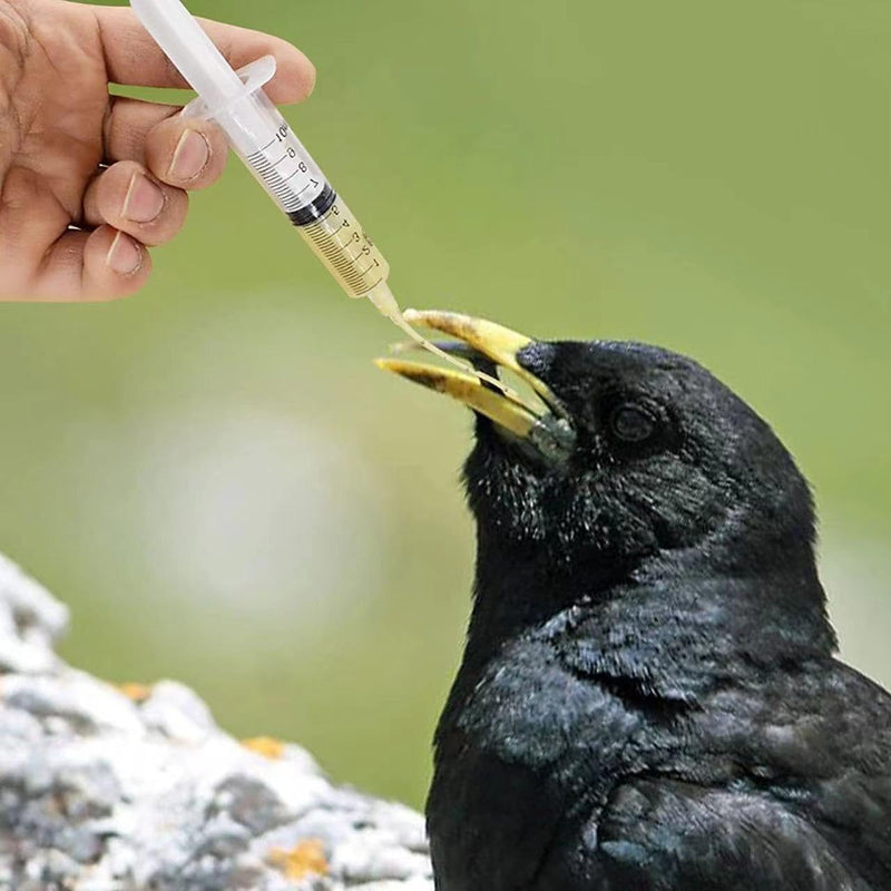 5ml+10ml+20ml Baby Bird Cockatiel Budgie Parrot Pet Hand Rearing Feeding Syringes Crop Tubes 3Pcs - BeesActive Australia