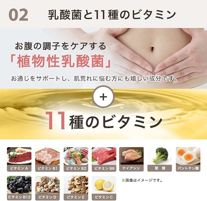 THE PROTEIN Protein Soy Protein 1kg Chai Flavor Takeuchi Pharmaceutical THE PROTEIN Protein Soy Protein Training Soy Protein - BeesActive Australia