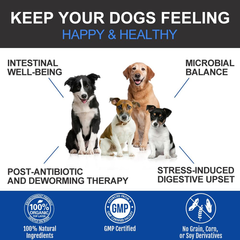Probiotics for Dogs – Natural Digestive Treats for Gut Health, Immunity, Diarrhoea & Itchy Skin Relief – Salmon Flavour Probiotic Chews – Probiotic Dog Treats