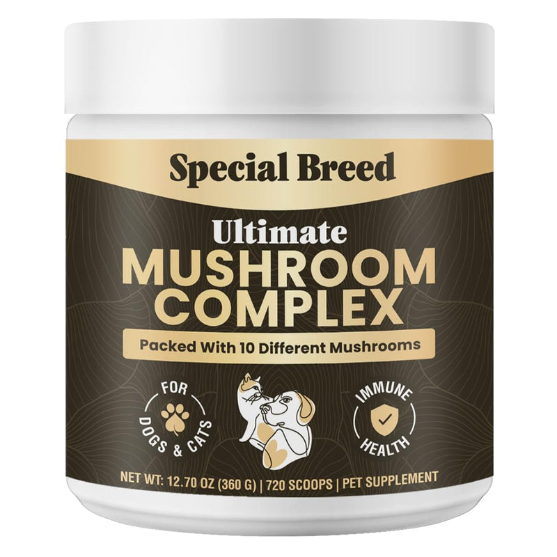 Mushroom Powder for Dogs & Cats - Organic Mushroom Complex for Immunity Support, Immune Function, Cognition, Vitality - Ten Mushroom Supplement with Turkey Tail, Lion's Mane, Reishi - 720 Scoops 12.70oz