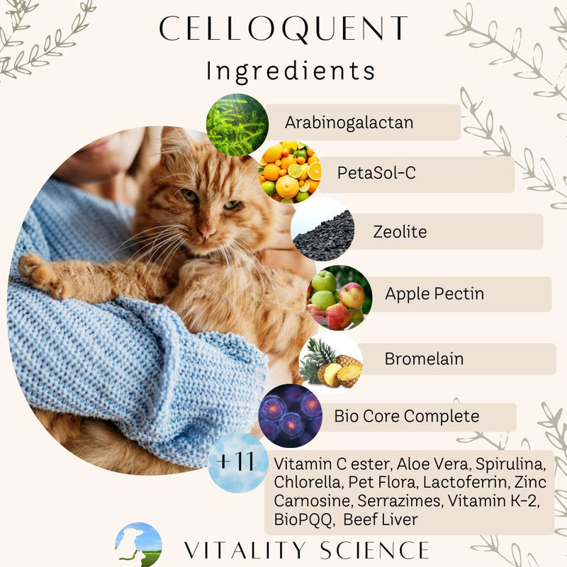 Vitality Science Celloquent for Cats | Enhanced Immune Support Formula | Maintains Proper Gut pH | Boosts Organ Function | Aids Cleansing and Healthy Inflammatory Response 60g