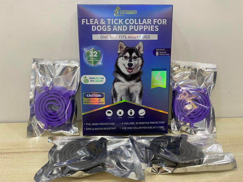 4 Pack Flea Collar for Dogs, Flea and Tick Collar for Dogs Puppies, 32 Months Flea and Tick Prevention for Dogs, Dog Flea Collar, Dog Flea and Tick Treatment-Black and Purple - BeesActive Australia