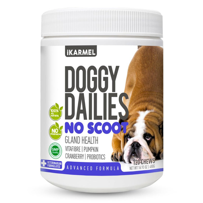 Doggy Dailies | Advanced Anal Gland Support Chews for Dogs | No Scoot Pet Supplements | Fibre Supplement With Pumpkin Powder for Dogs | Dog Digestion Tablets Formulated by Vets | 120 120 Count (Pack of 1)