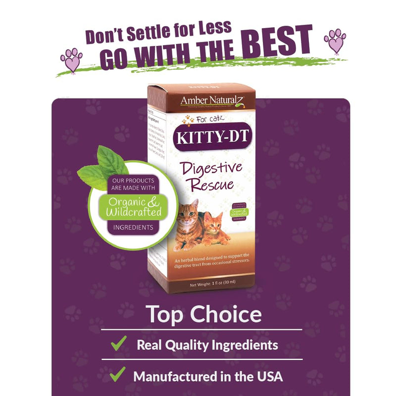 AMBER NATURALZ Kitty-DT Digestive Rescue Herbal Supplement for Cats | Feline Herbal Supplement for Occasional Upset and Digestive Support | 1 Fluid Ounce Glass Bottle | Manufactured in The USA - BeesActive Australia