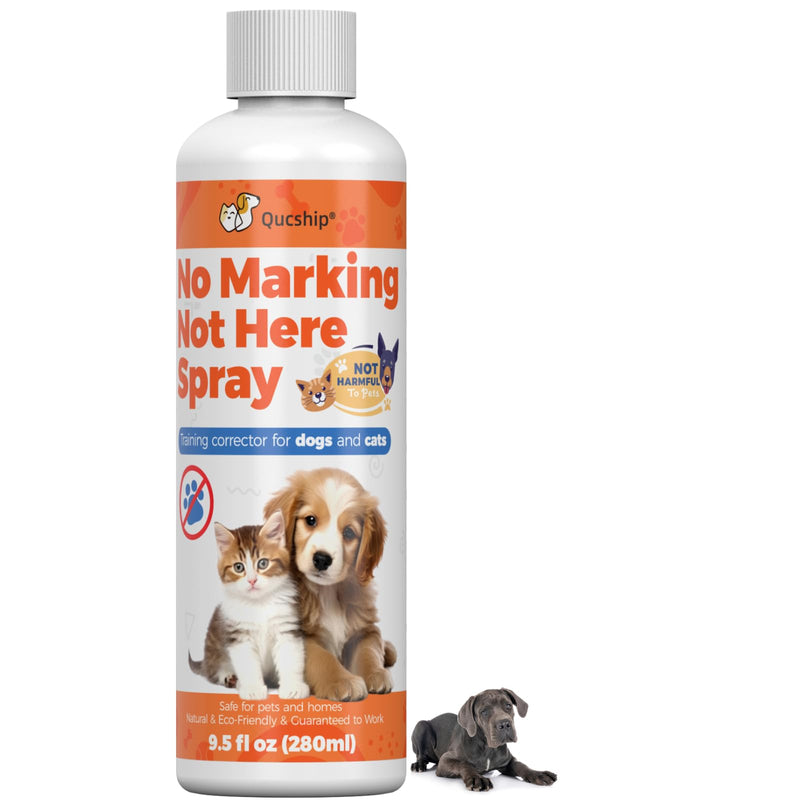 Safe Solution for Stopping Indoor Dog Marking