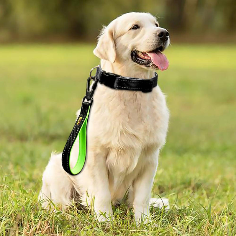 PLUTUS PET 10 Inch Short Dog Leash for Large Dogs with Locking Carabiner Clip & Padded Handle（10”, Black） 10 Inch (Pack of 1) - BeesActive Australia