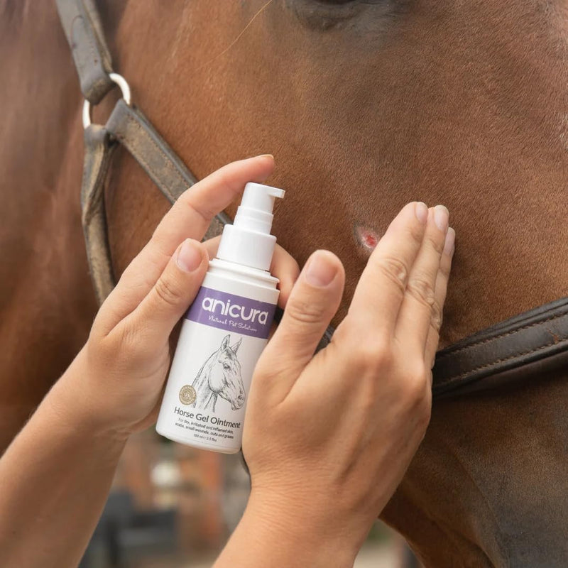 Anicura Horse Healing Gel 100ml – Advanced Care for Cuts, Wounds, Scabs & Skin Irritations – Soothes, Protects & Promotes Recovery – Ideal for Sweet Itch, Sores & Sensitive Skin