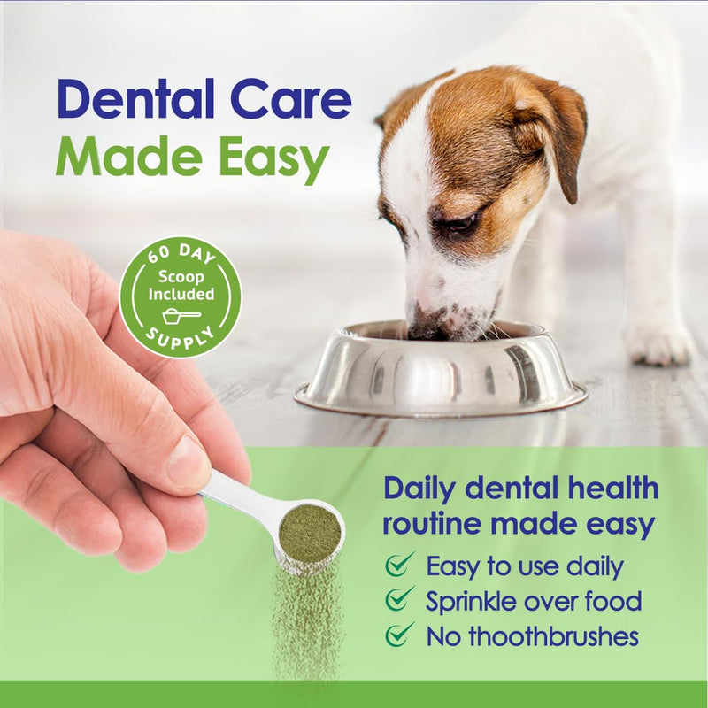 Dog Teeth Cleaning Powder, Dog Plaque and Tartar Remover, Bad Breath Treatment for Dogs with USDA Organic Sea Kelp Powder, Dog Dental Care Made Easy, for All Ages, 6oz - PawsPlanet Australia