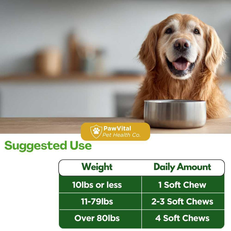 NAD+ Precursor Chews for Senior Dogs – Cellular Energy, Longevity & Cognitive Support – Nicotinamide Riboside, Resveratrol, Quercetin, Glucosamine, Omega-3 – Made with Real Chicken – 90 Count